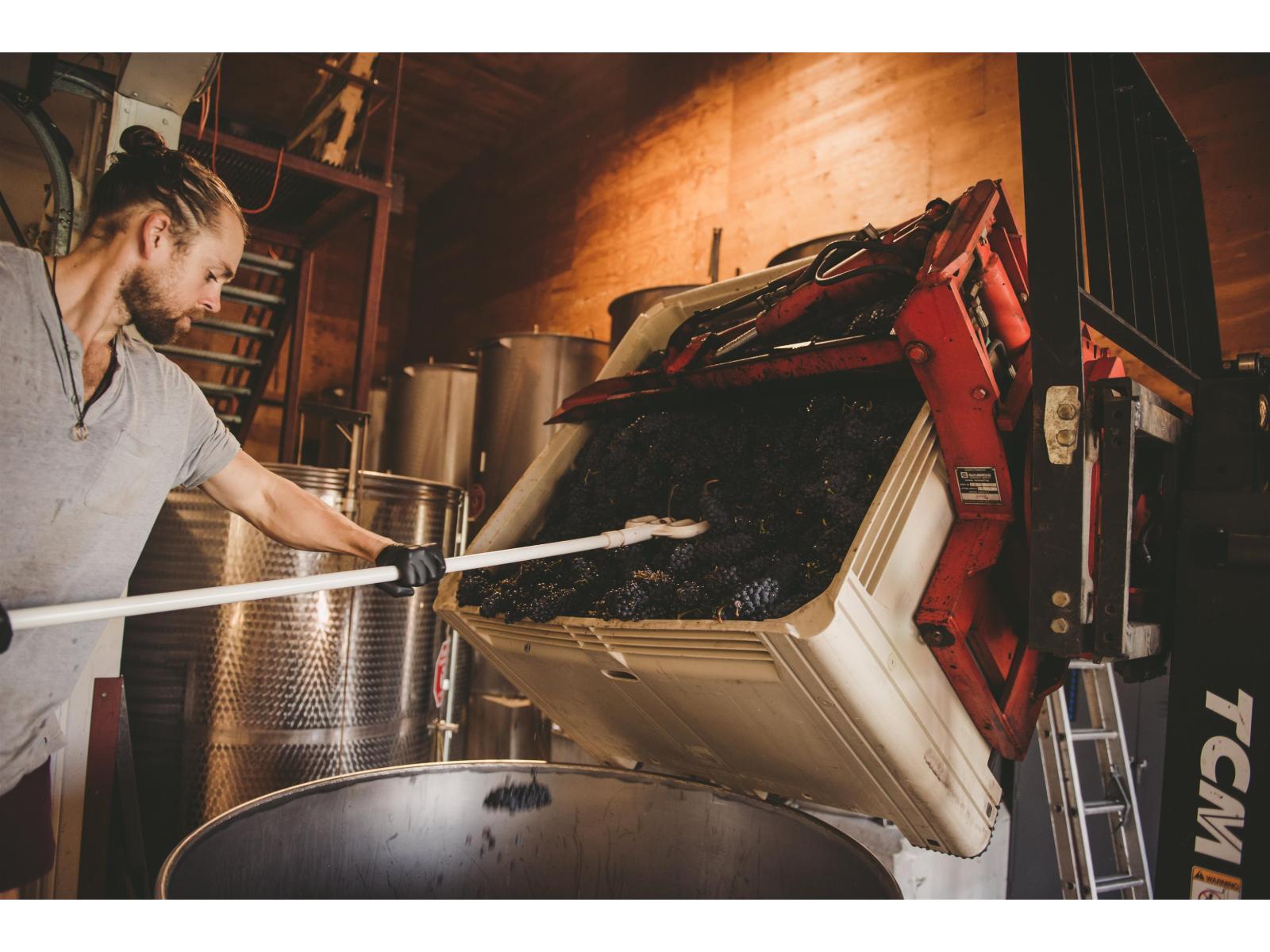 3033 232 Street, Langley, British Columbia  V2Z 3A8 - Photo 18 - C8076651