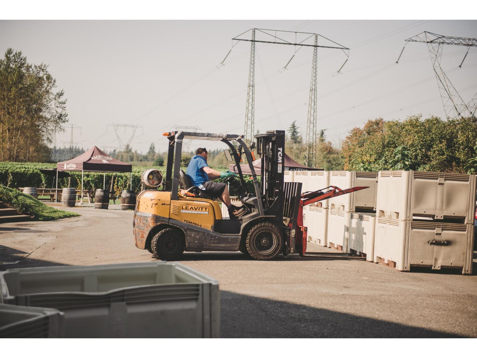 3033 232 Street, Langley, British Columbia  V2Z 3A8 - Photo 14 - C8076651