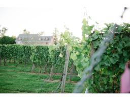 3033 232 STREET, Langley, British Columbia