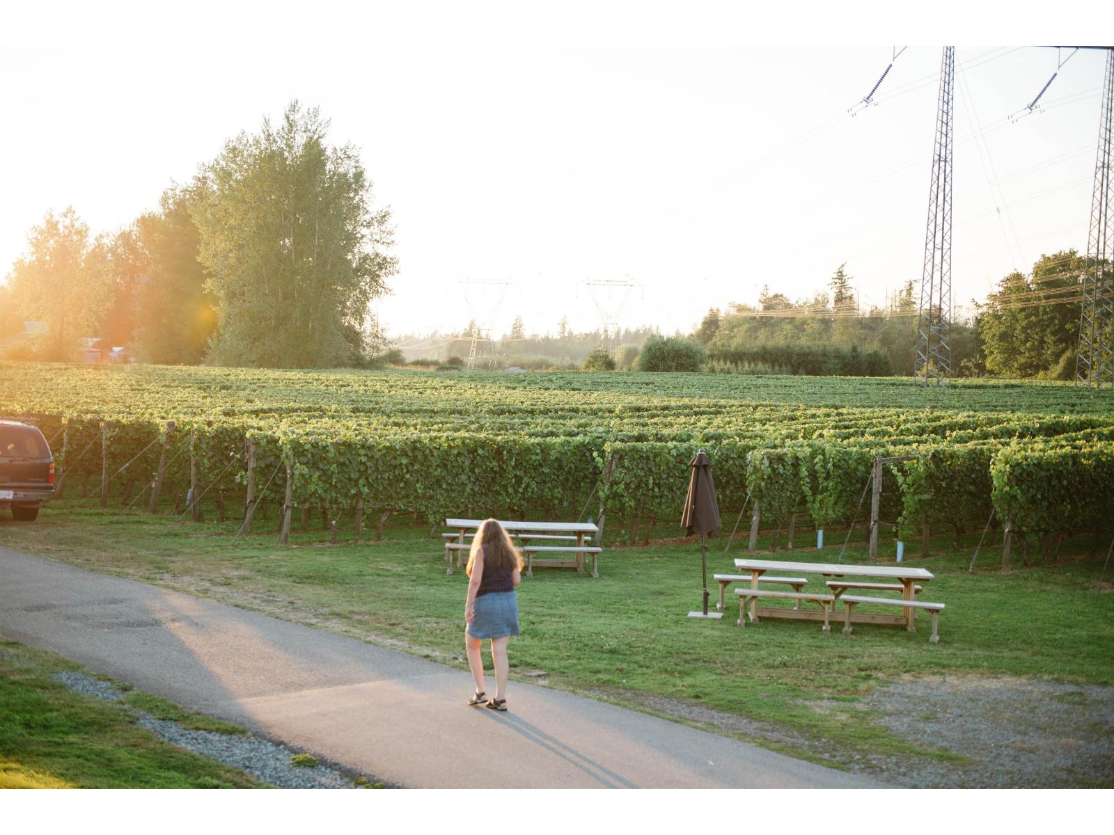 3033 232 Street, Langley, British Columbia  V2Z 3A8 - Photo 17 - C8076651