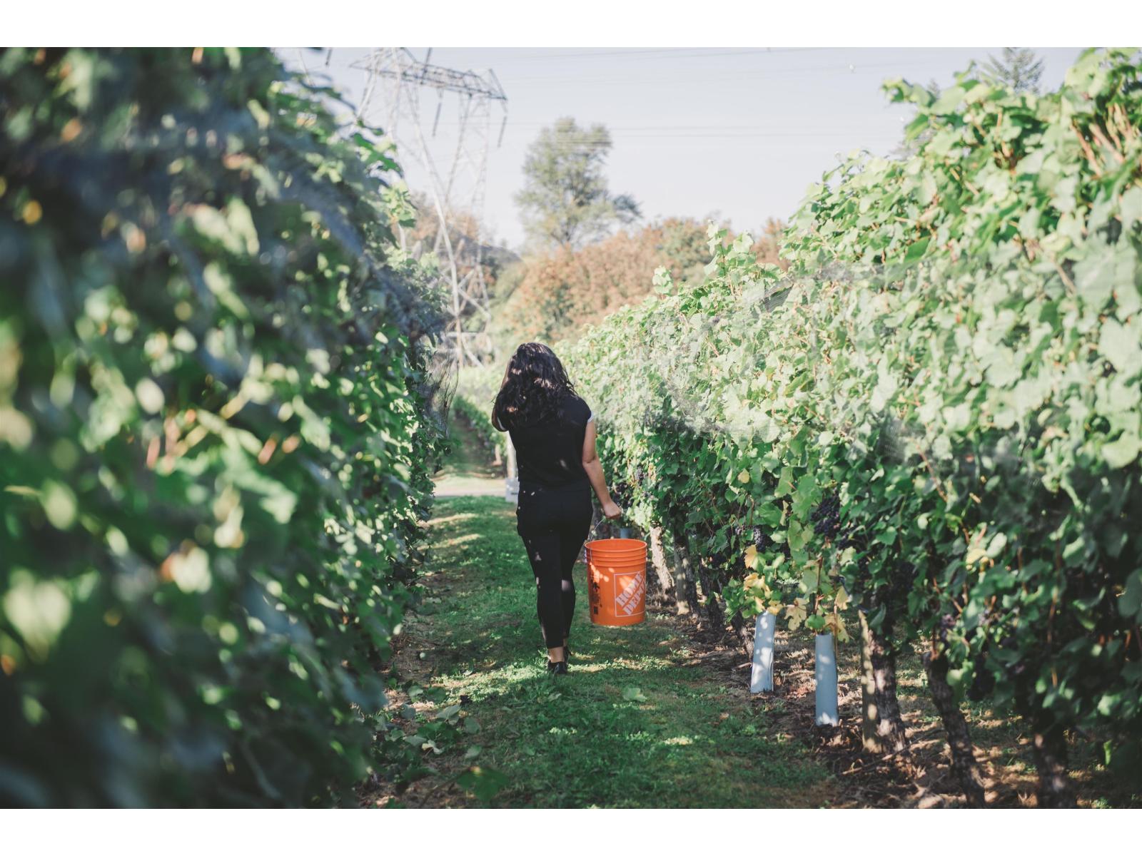 3033 232 Street, Langley, British Columbia  V2Z 3A8 - Photo 15 - C8076651