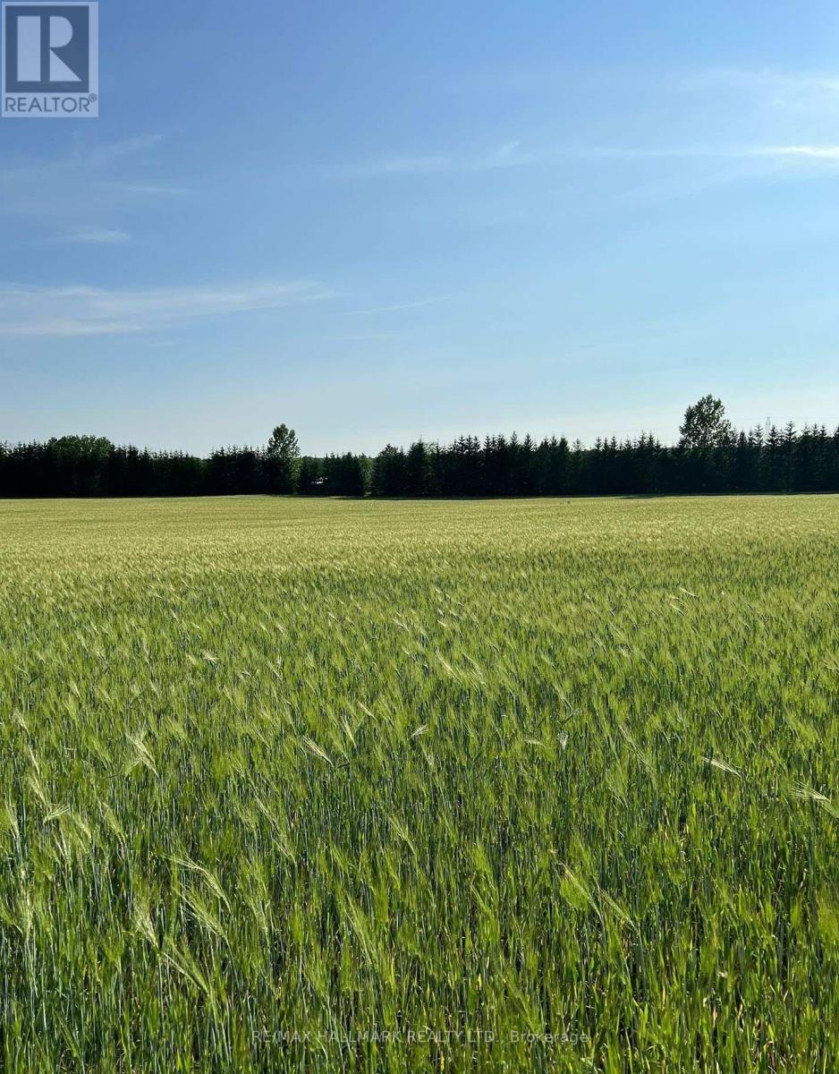 22648 Grey Rd 16 Road, Chatsworth, Ontario  N0H 1G0 - Photo 41 - X12841560