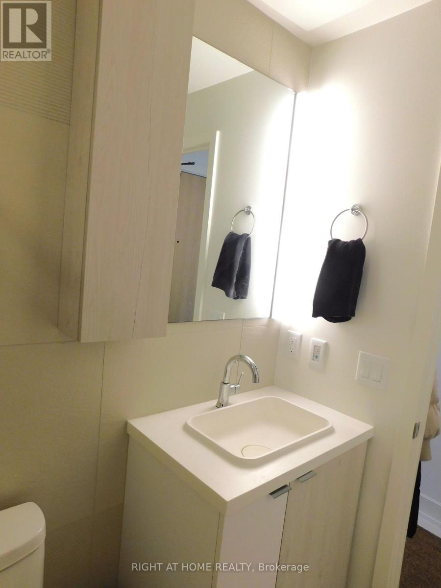 3105 - 15 Mercer Street, Toronto, Ontario  M5V 1H2 - Photo 13 - C12842434