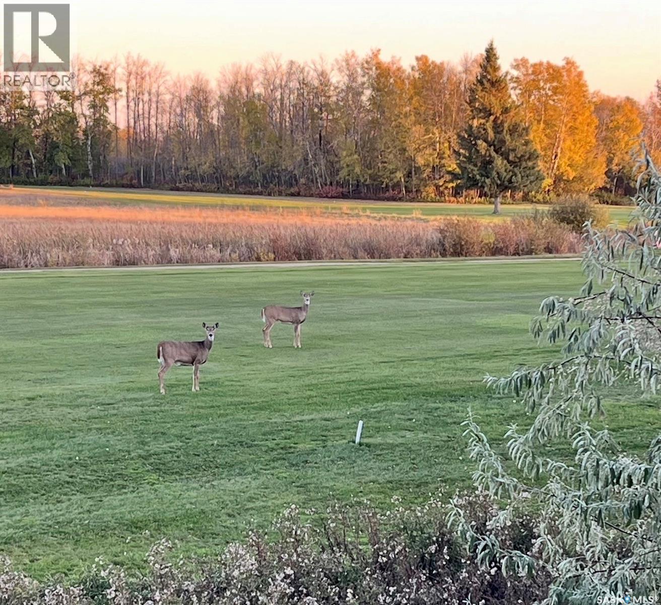 231 Augusta Place, Good Lake Rm No. 274, Saskatchewan  S0A 0L1 - Photo 41 - SK029657