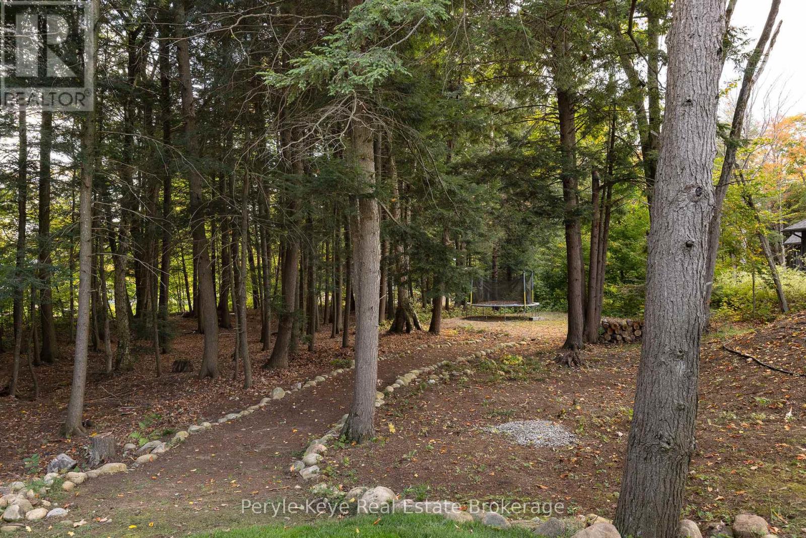 1100 Xavier Street, Gravenhurst, Ontario  P0E 1G0 - Photo 43 - X12842538