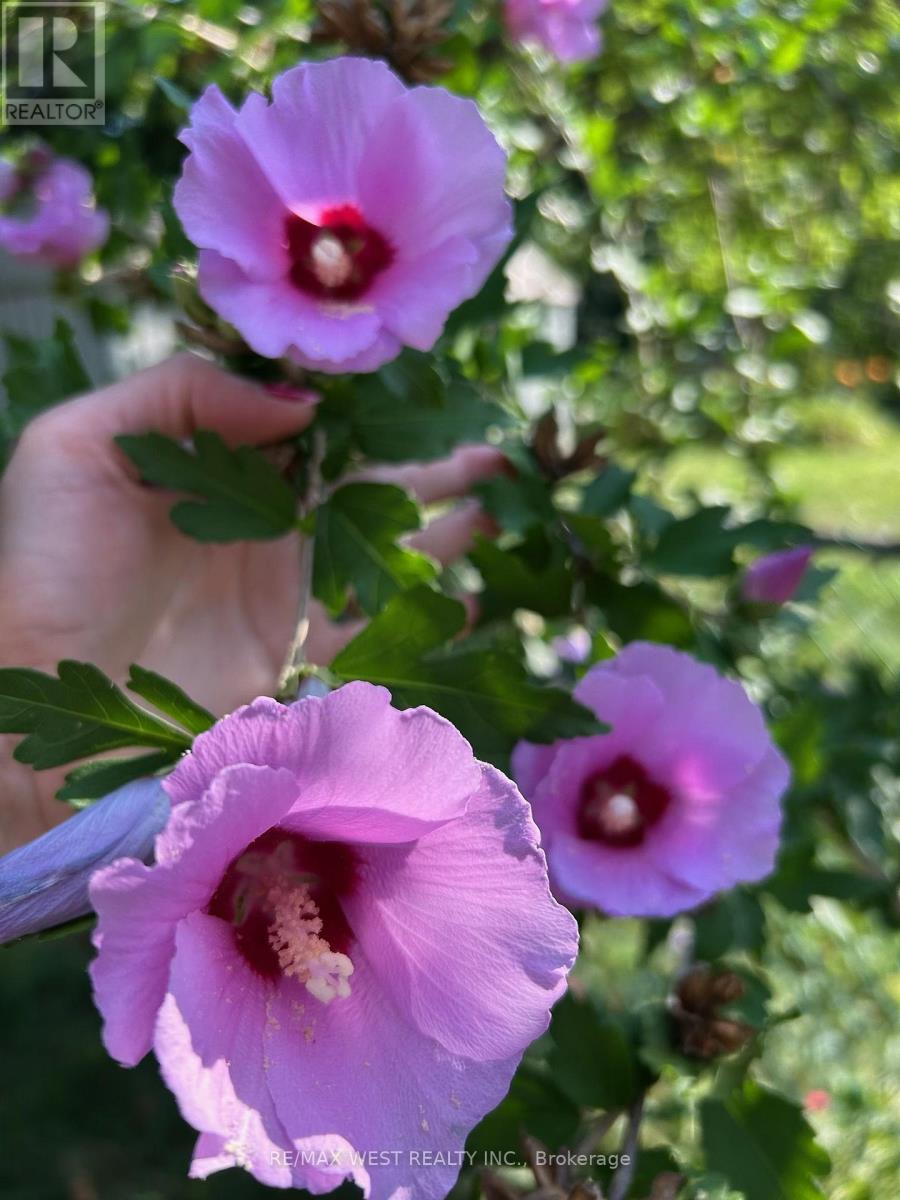 57 Alpaca Drive, Toronto (Woburn), Ontario  M1J 2Z9 - Photo 38 - E12842560