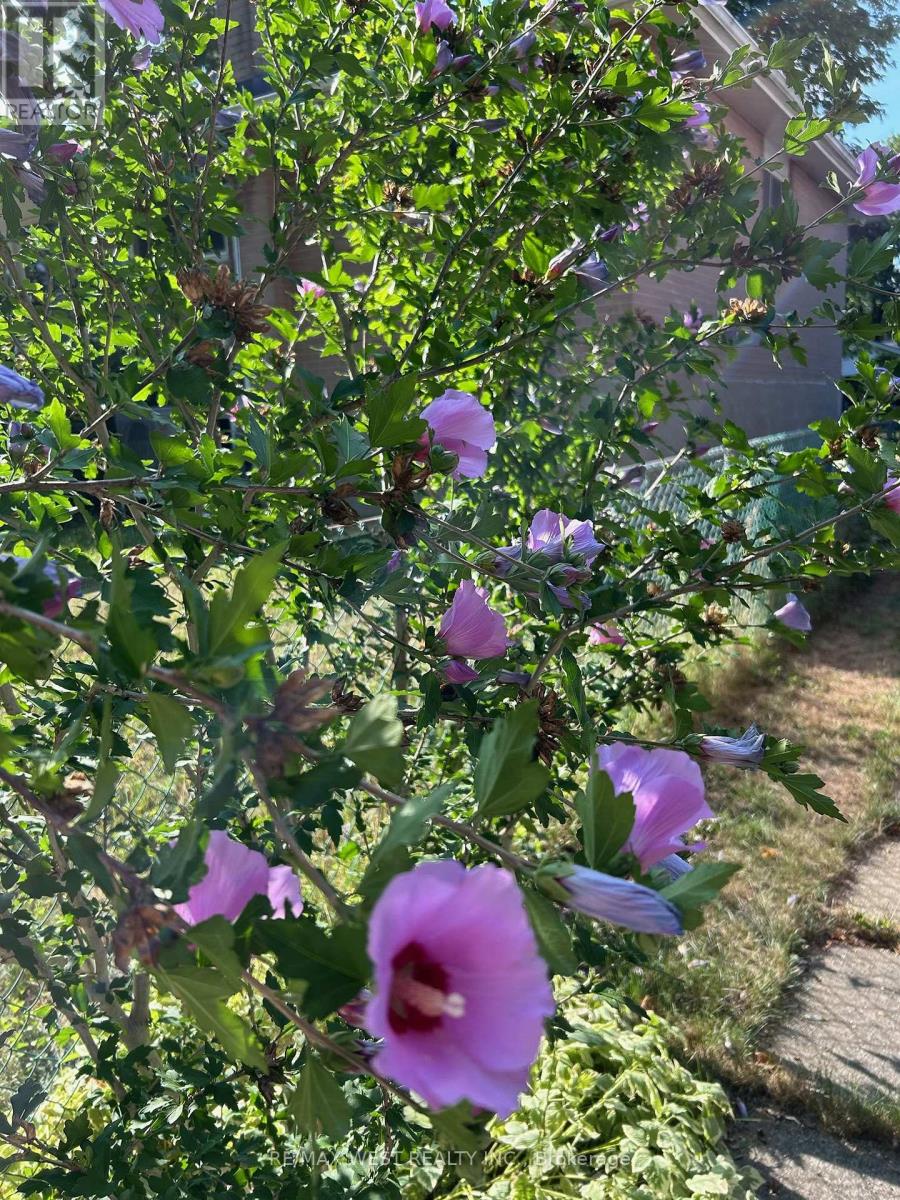 57 Alpaca Drive, Toronto (Woburn), Ontario  M1J 2Z9 - Photo 39 - E12842560