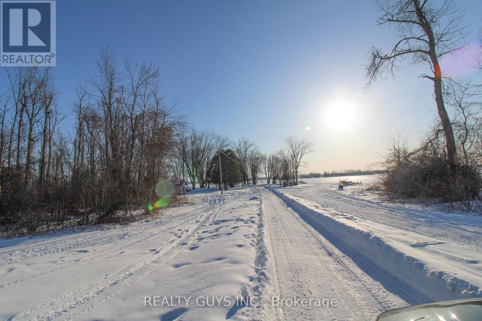 223 Crosby Drive, Kawartha Lakes, Ontario  K0M 1A0 - Photo 5 - X12842670