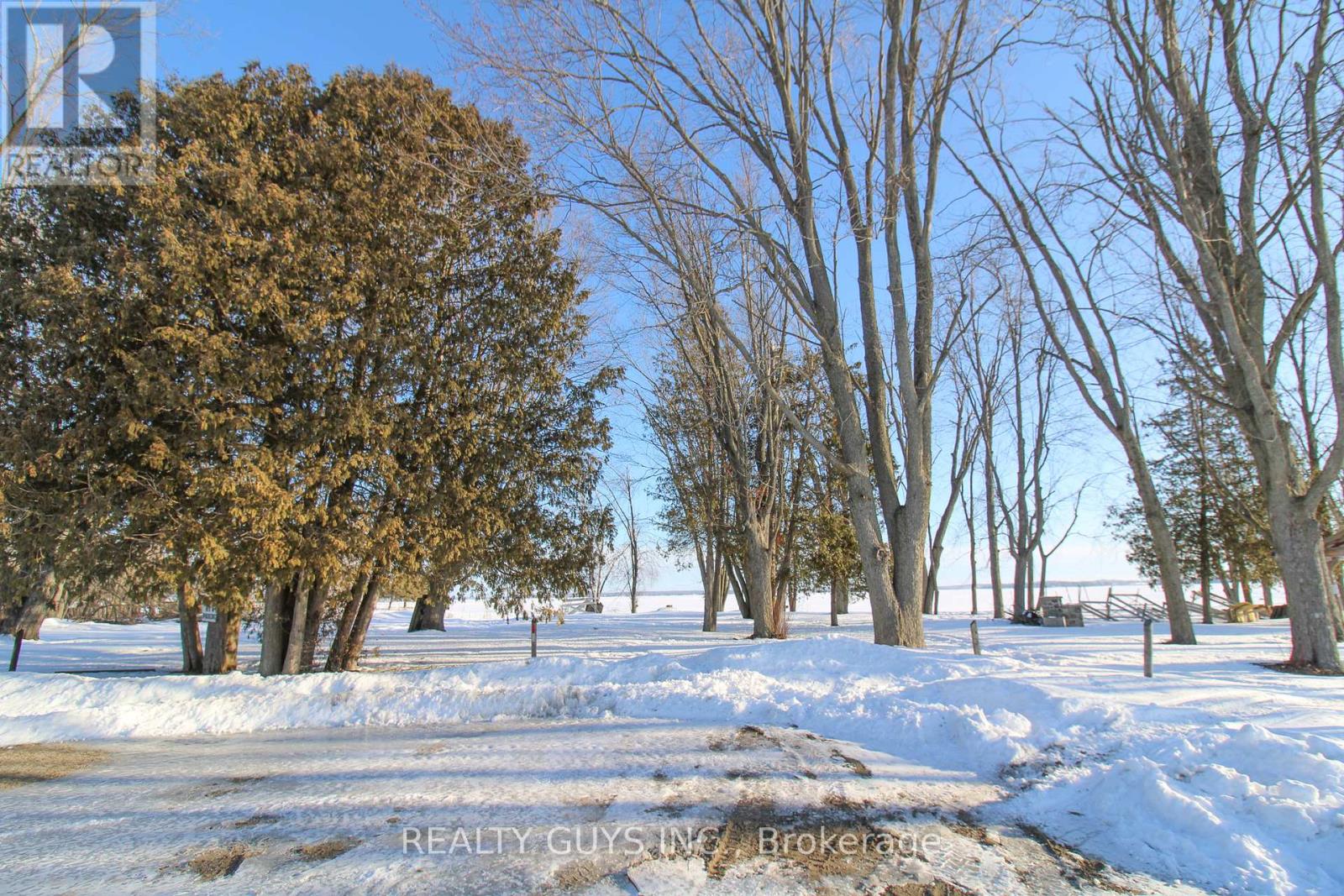 223 Crosby Drive, Kawartha Lakes, Ontario  K0M 1A0 - Photo 6 - X12842670