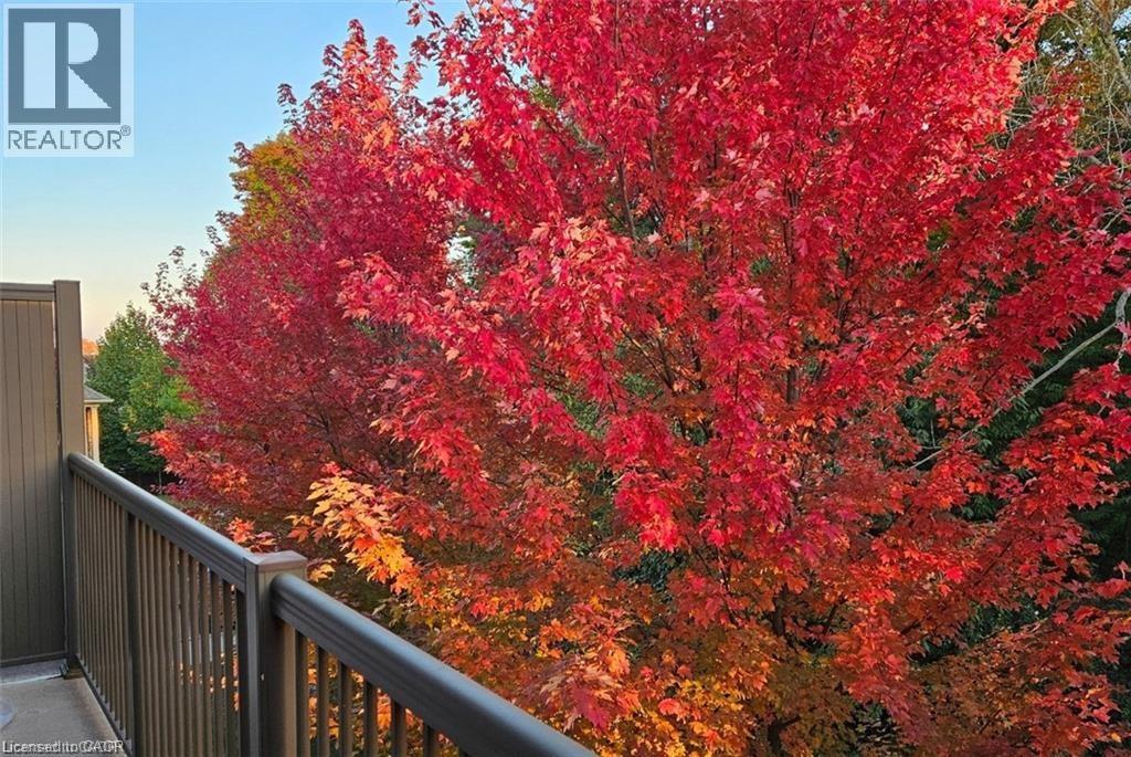 237 Rachel Crescent Unit# C, Kitchener, Ontario  N2R 0E2 - Photo 14 - 40807582