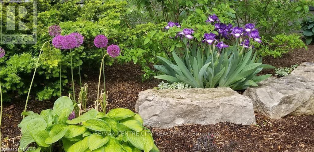 203 - 549 Ridout Street N, London East, Ontario  N6A 5N5 - Photo 30 - X12842792