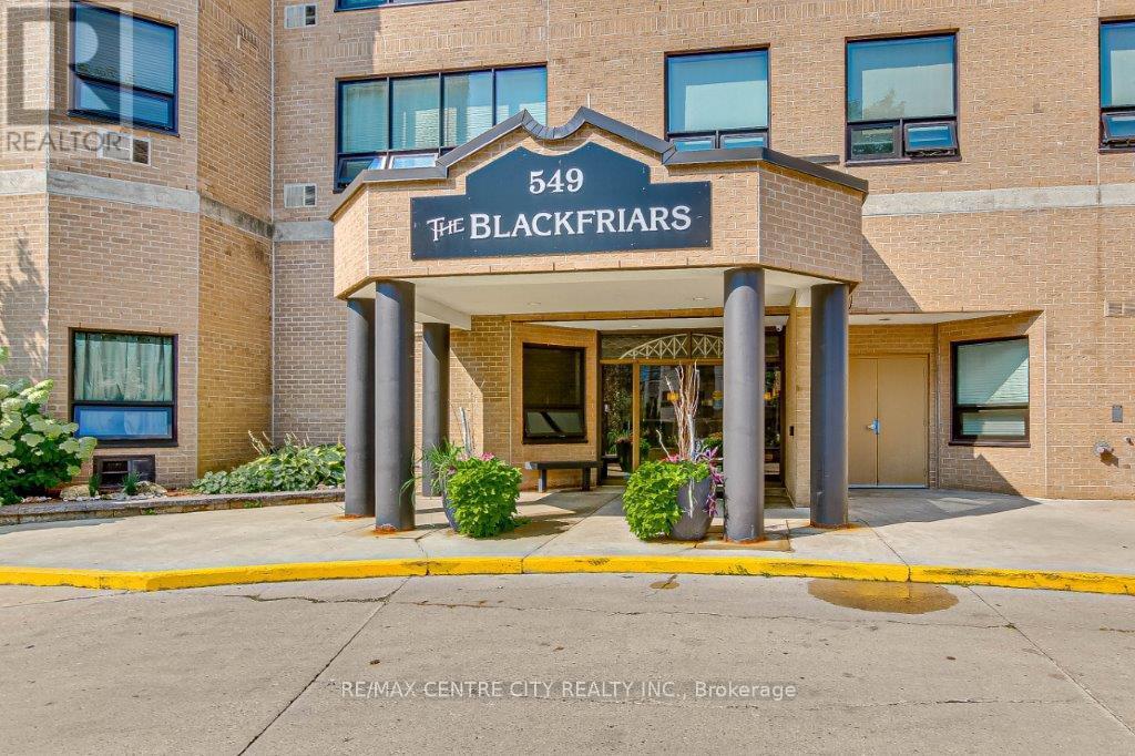 203 - 549 Ridout Street N, London East, Ontario  N6A 5N5 - Photo 4 - X12842792
