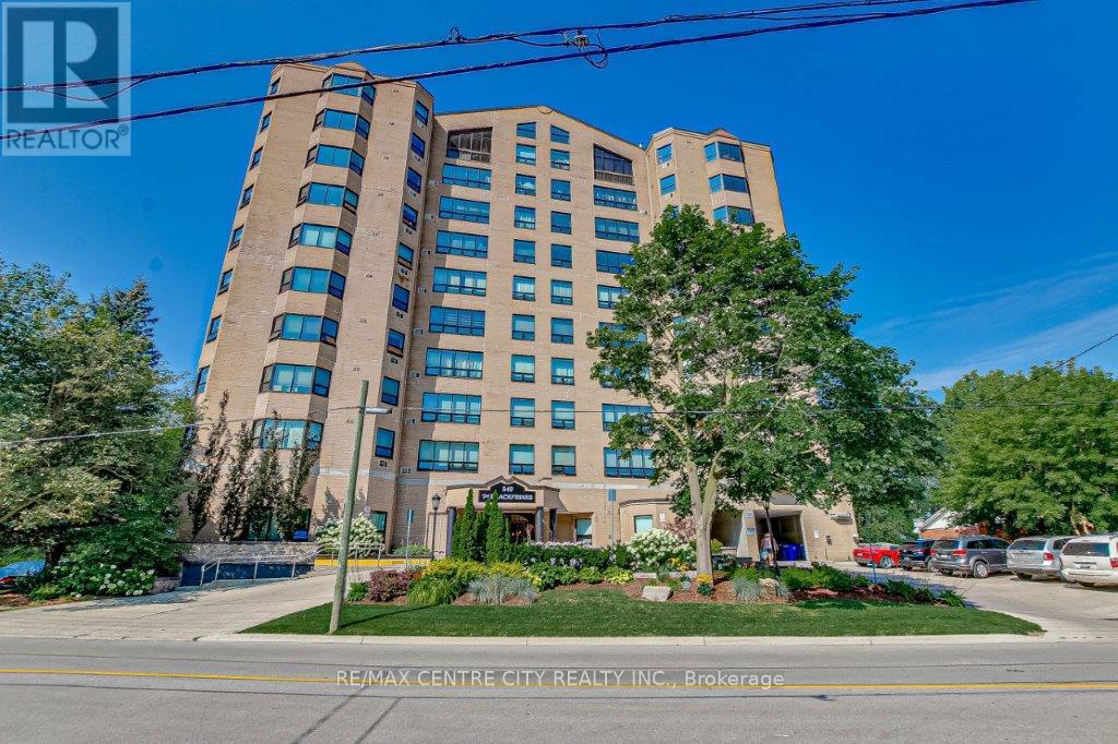 203 - 549 Ridout Street N, London East, Ontario  N6A 5N5 - Photo 5 - X12842792