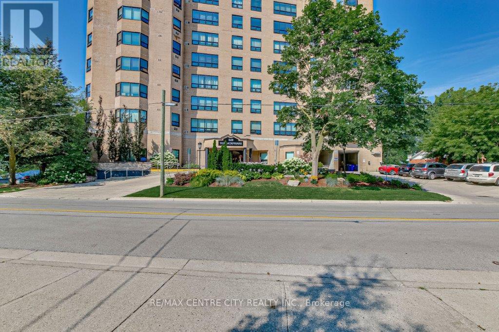 203 - 549 Ridout Street N, London East, Ontario  N6A 5N5 - Photo 6 - X12842792