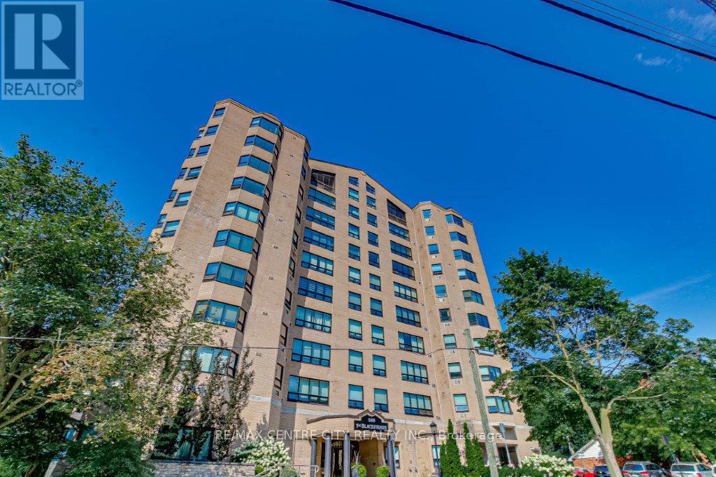 203 - 549 Ridout Street N, London East, Ontario  N6A 5N5 - Photo 9 - X12842792