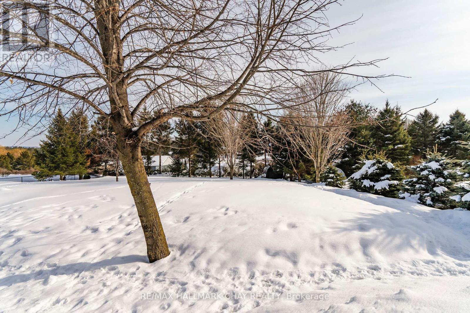 48 Marlow Circle, Springwater, Ontario  L0L 1V0 - Photo 35 - S12842906