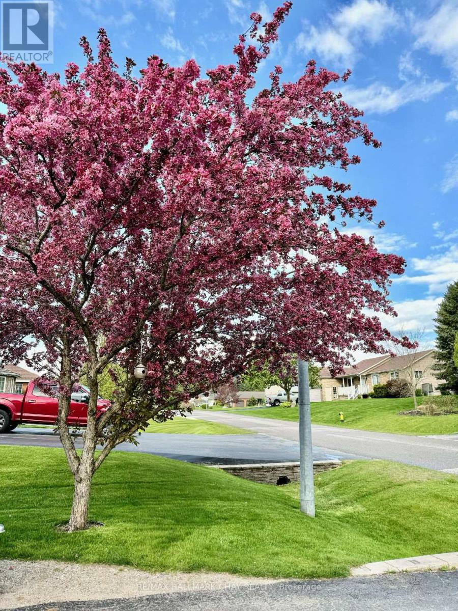 48 Marlow Circle, Springwater, Ontario  L0L 1V0 - Photo 46 - S12842906