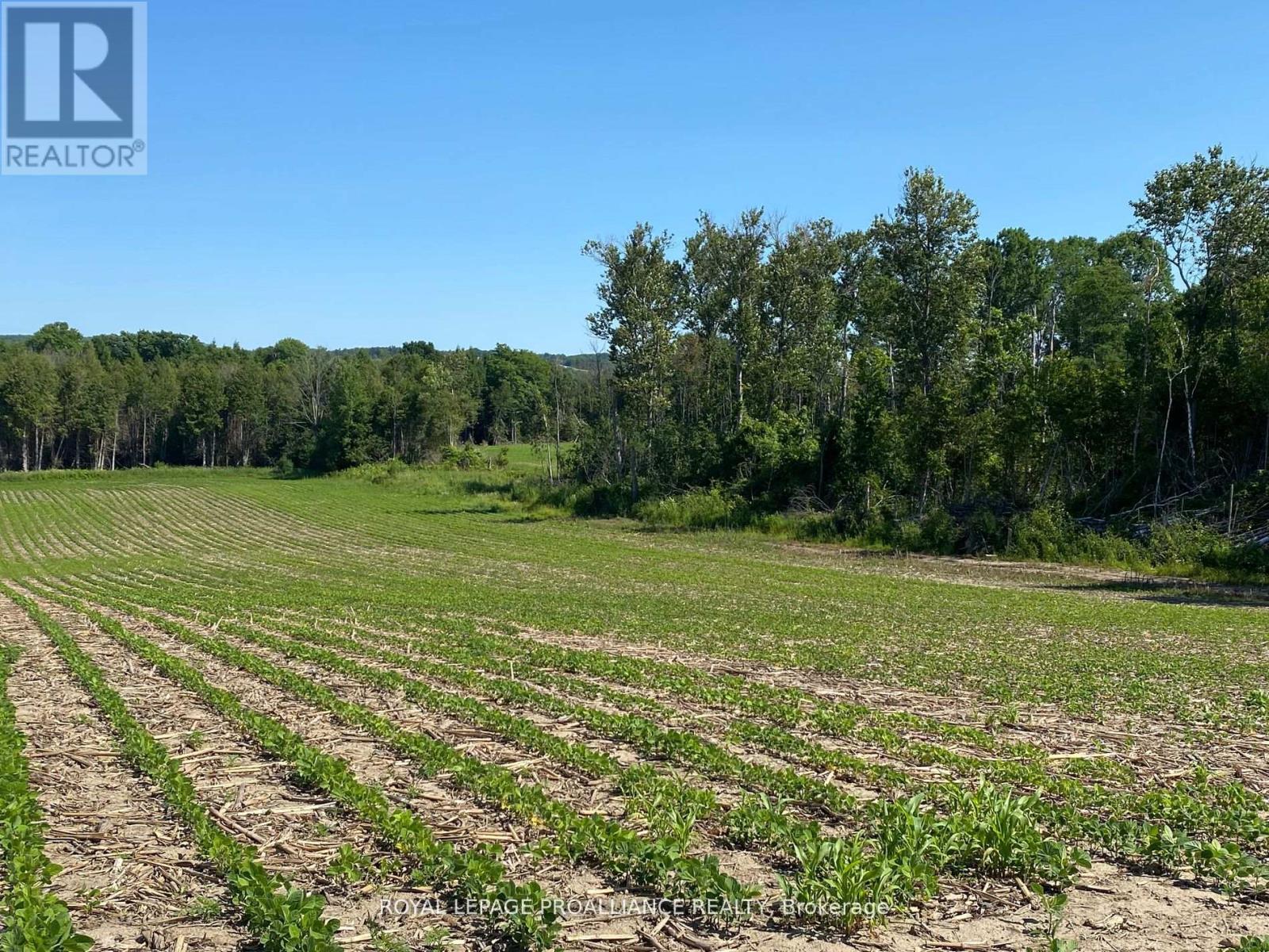 Pt Lt 3 County Rd 45, Hamilton Township, Ontario  K0K 1C0 - Photo 5 - X12842918