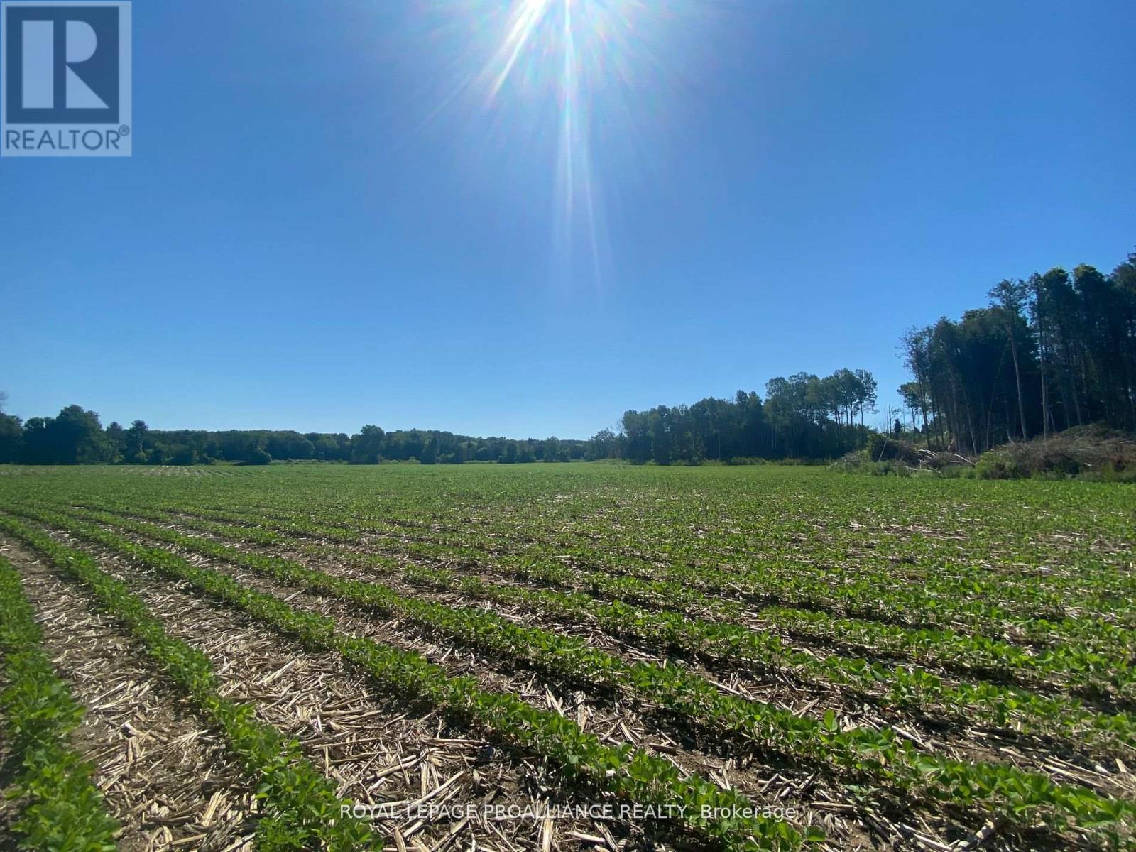 Pt Lt 3 County Rd 45, Hamilton Township, Ontario  K0K 1C0 - Photo 3 - X12842918