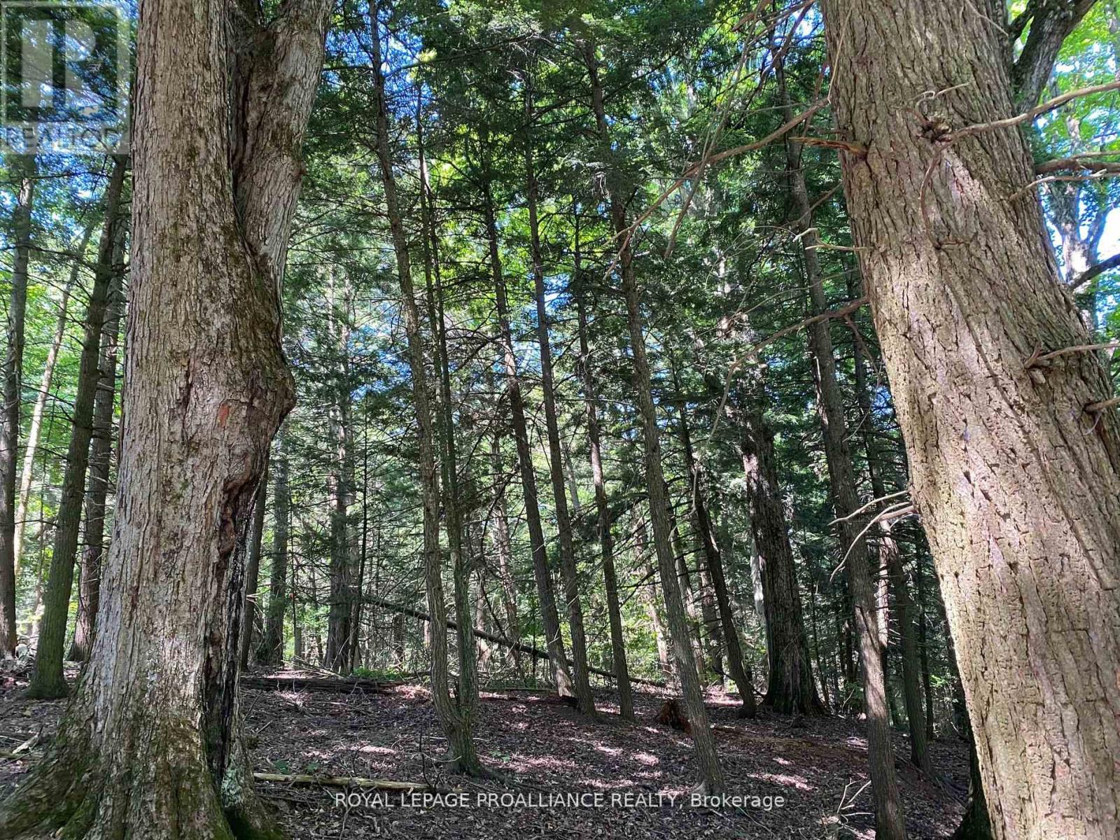 Pt Lt 3 County Rd 45, Hamilton Township, Ontario  K0K 1C0 - Photo 32 - X12842918