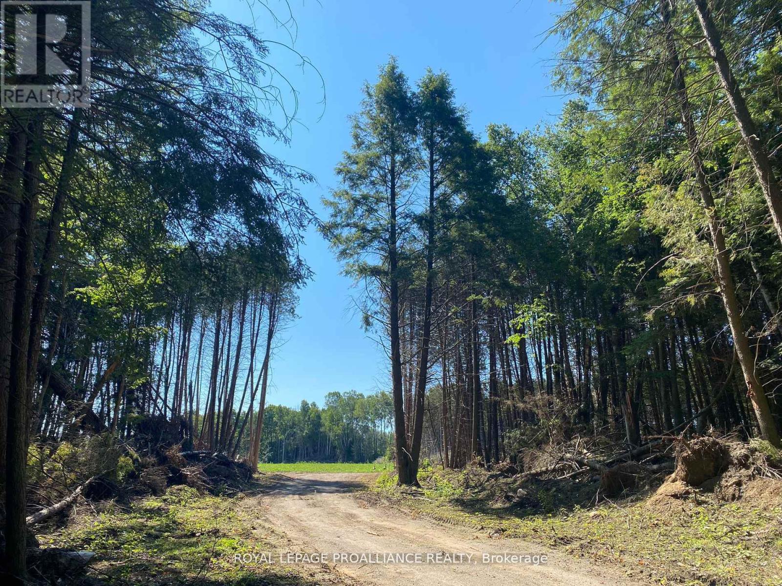 Pt Lt 3 County Rd 45, Hamilton Township, Ontario  K0K 1C0 - Photo 35 - X12842918