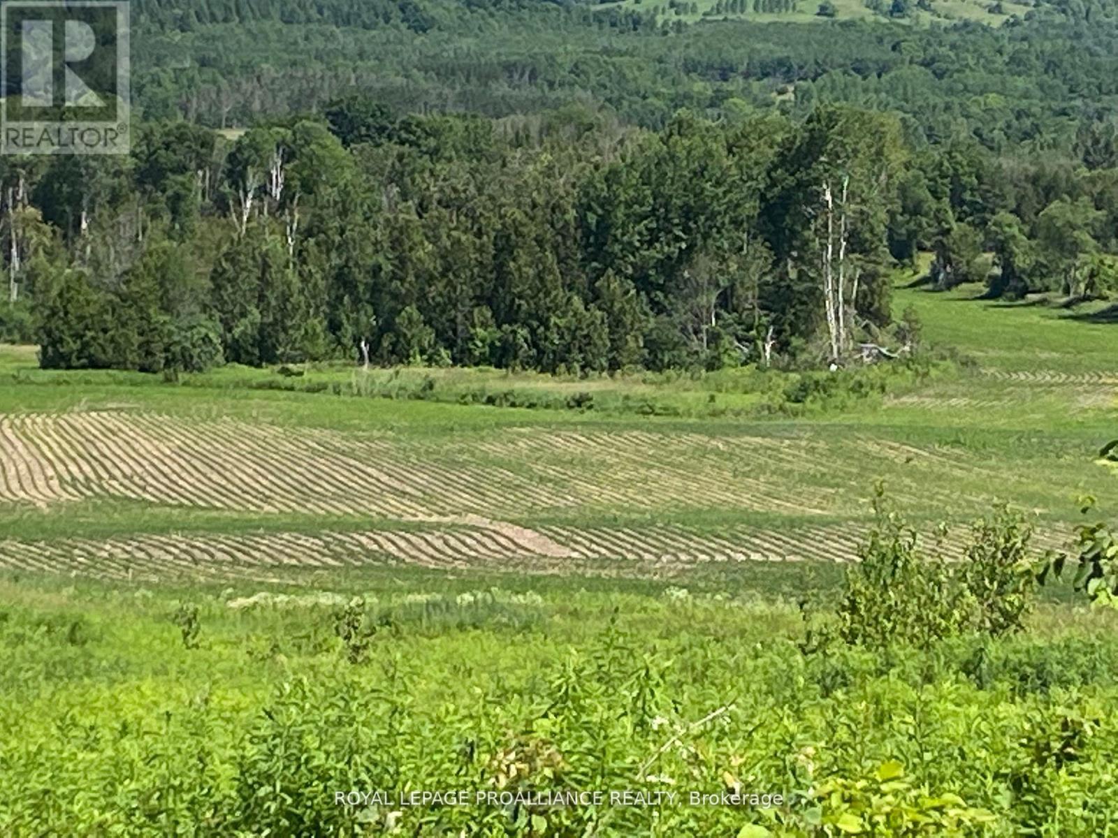 Pt Lt 3 County Rd 45, Hamilton Township, Ontario  K0K 1C0 - Photo 17 - X12842918