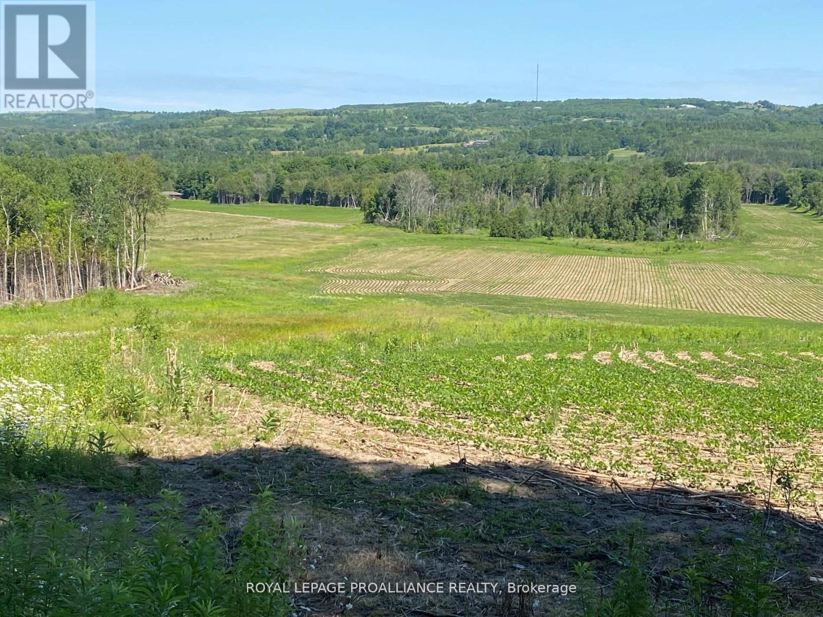 Pt Lt 3 County Rd 45, Hamilton Township, Ontario  K0K 1C0 - Photo 25 - X12842918