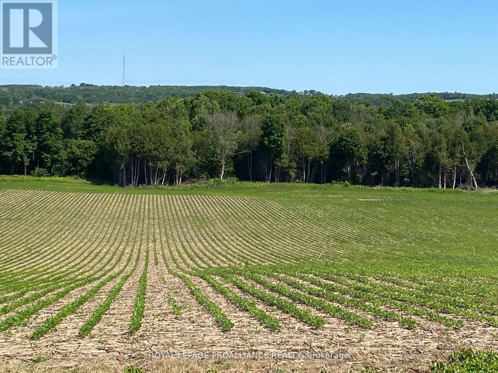Pt Lt 3 County Rd 45, Hamilton Township, Ontario  K0K 1C0 - Photo 7 - X12842918