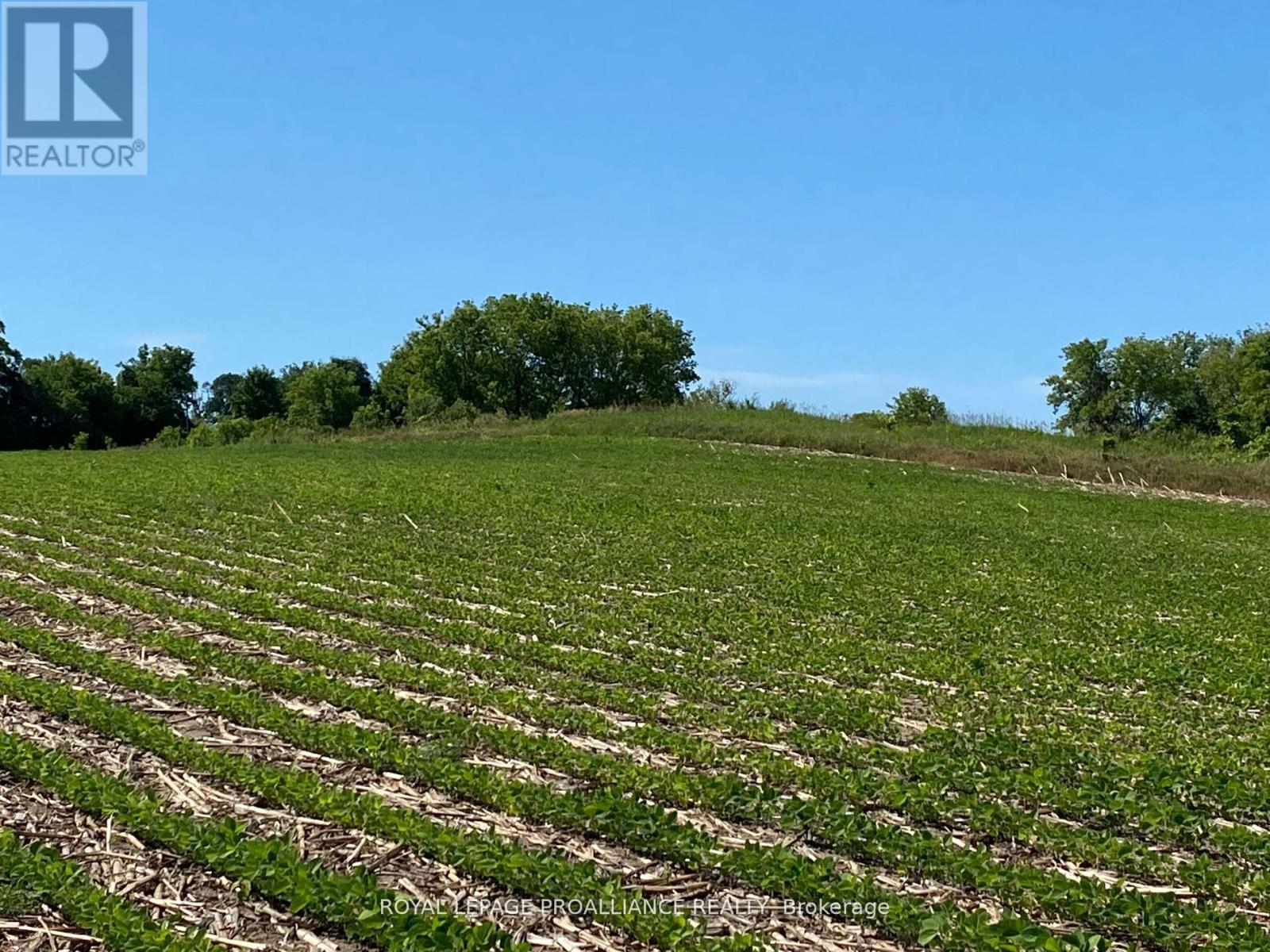 Pt Lt 3 County Rd 45, Hamilton Township, Ontario  K0K 1C0 - Photo 9 - X12842918