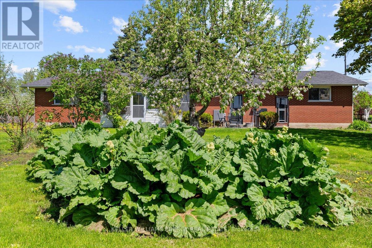 2263 Hwy 2, Clarington, Ontario  L1C 3K7 - Photo 15 - E12843468