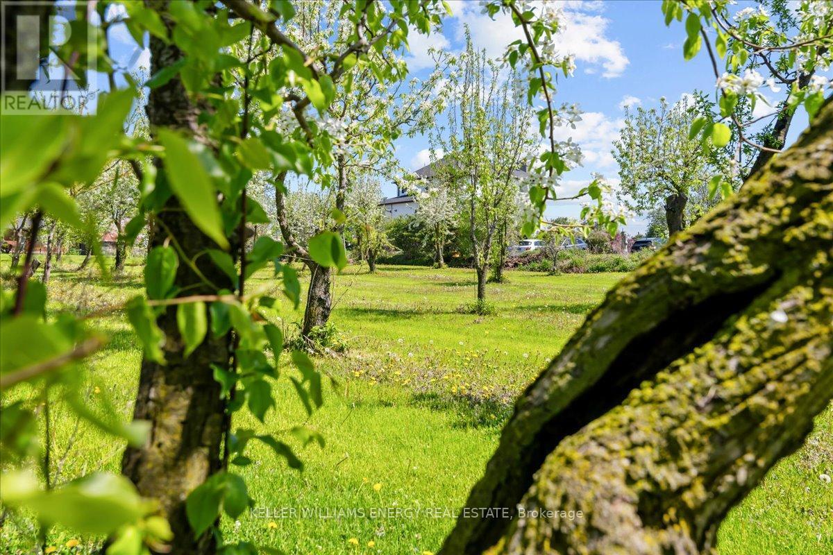 2263 Hwy 2, Clarington, Ontario  L1C 3K7 - Photo 29 - E12843468