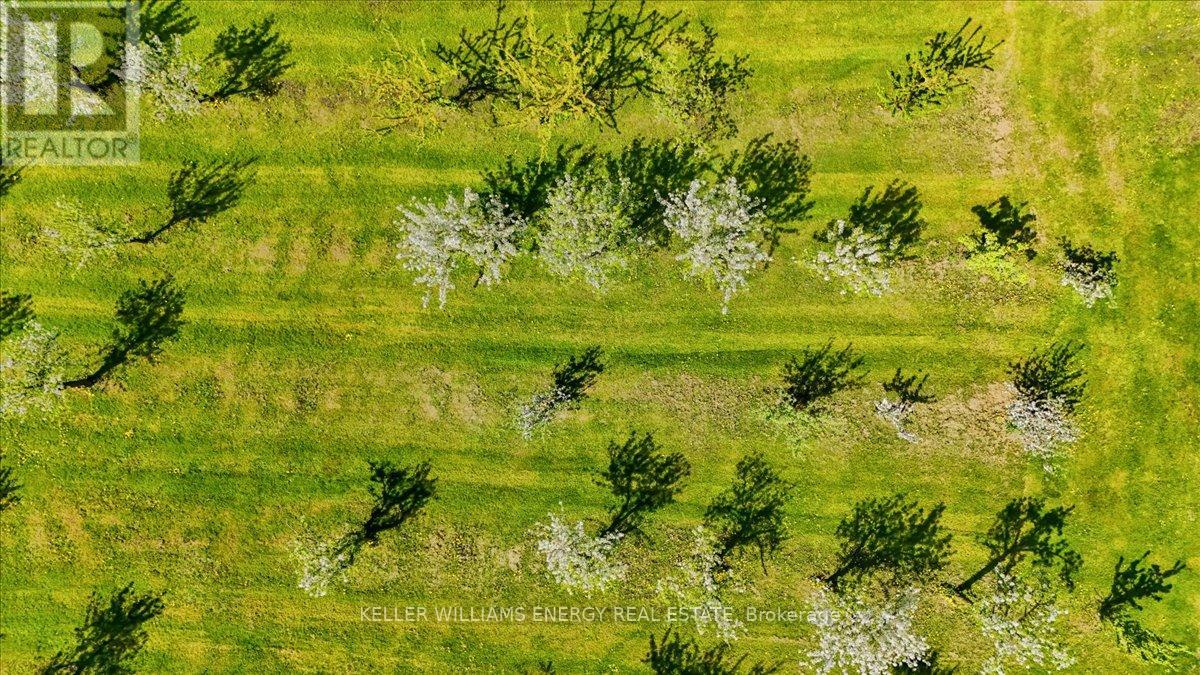 2263 Hwy 2, Clarington, Ontario  L1C 3K7 - Photo 43 - E12843468