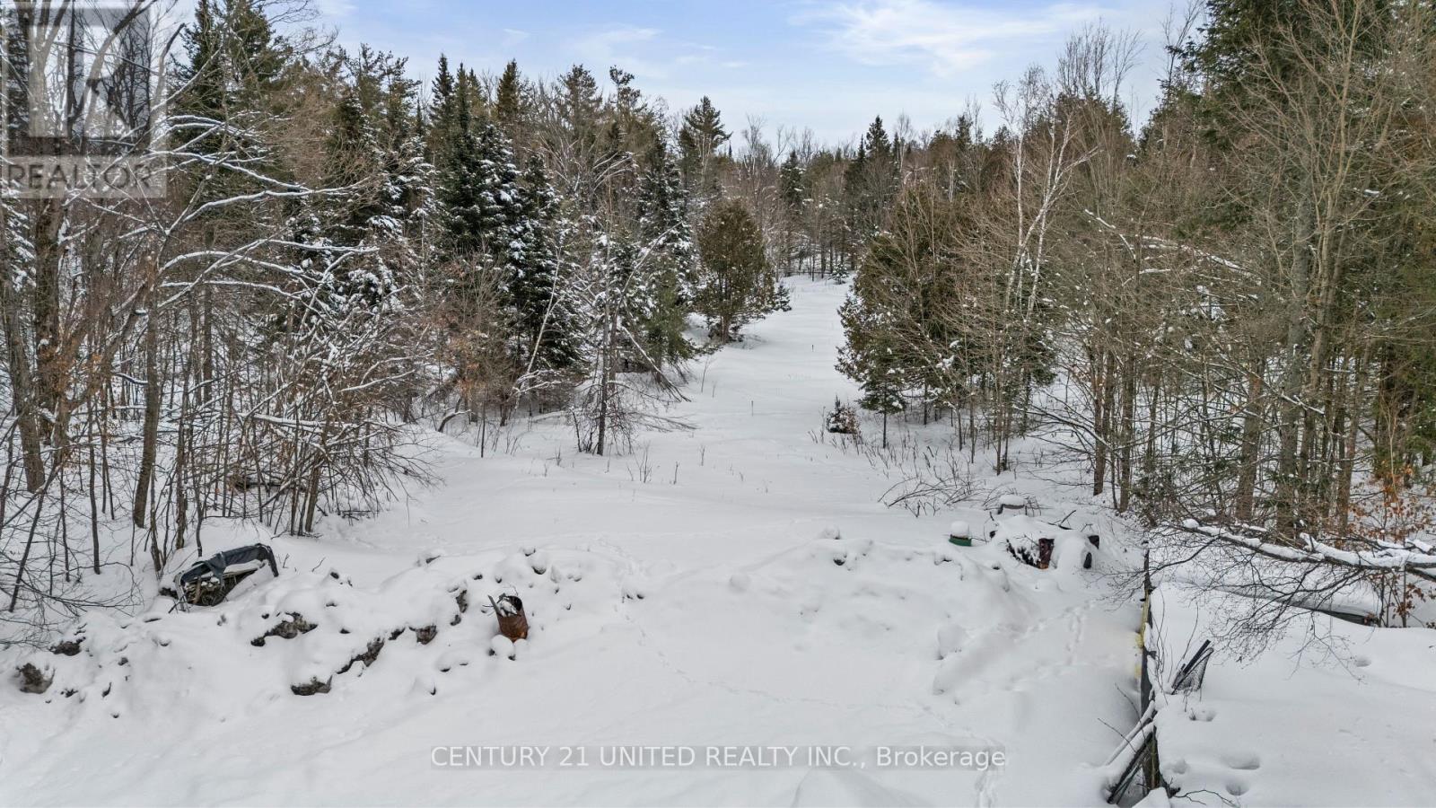 257 Big Cedar Lake Road, North Kawartha, Ontario  K0L 2H0 - Photo 25 - X12843238