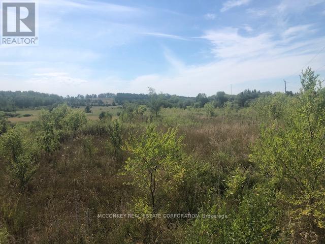 3931 Wallace Point Road, Otonabee-South Monaghan, Ontario  K9J 0E4 - Photo 13 - X12843352