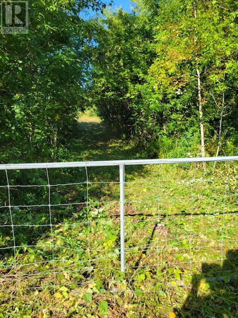 3931 Wallace Point Road, Otonabee-South Monaghan, Ontario  K9J 0E4 - Photo 15 - X12843352