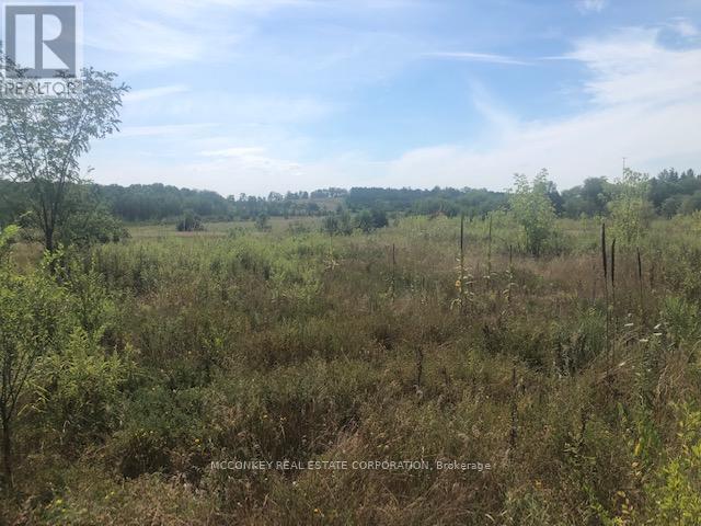 3931 Wallace Point Road, Otonabee-South Monaghan, Ontario  K9J 0E4 - Photo 8 - X12843352