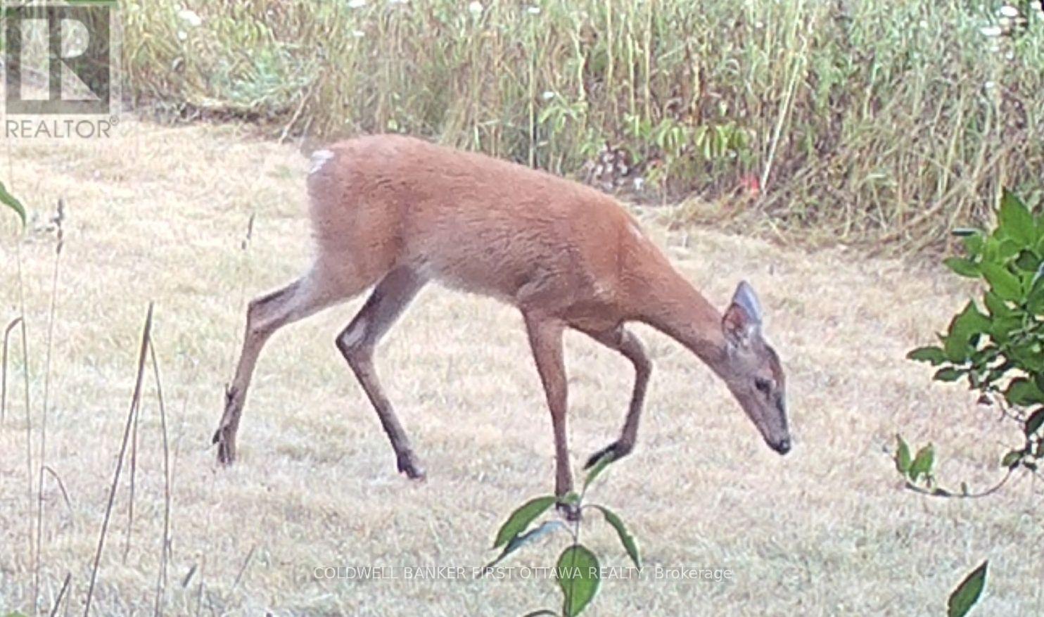 51 Otter Lake Road, Rideau Lakes, Ontario  K0G 1L0 - Photo 32 - X12843212