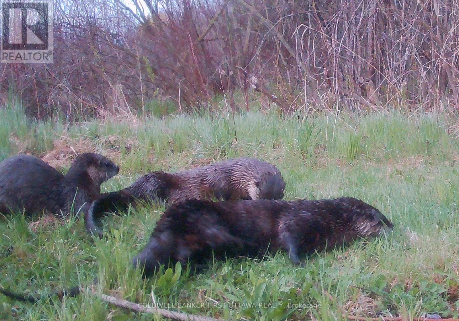 51 Otter Lake Road, Rideau Lakes, Ontario  K0G 1L0 - Photo 33 - X12843212