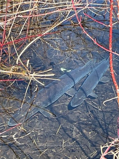 51 Otter Lake Road, Rideau Lakes, Ontario  K0G 1L0 - Photo 34 - X12843212