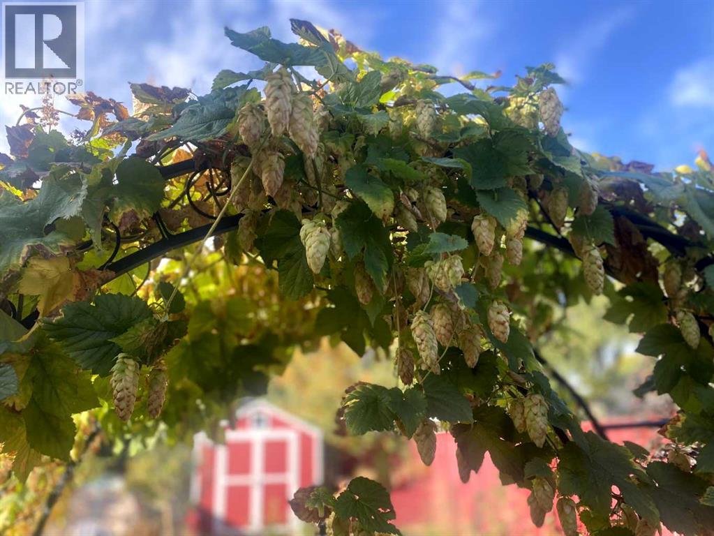 213 Mt Blakiston Road W, Lethbridge, Alberta  T1K 6M3 - Photo 35 - A2286446