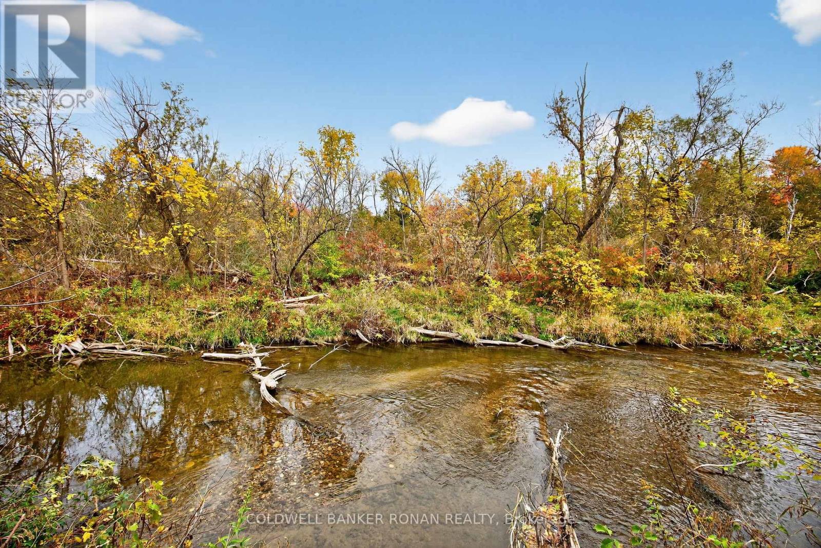 96 Boyne Crescent, New Tecumseth, Ontario  L9R 1K2 - Photo 49 - N12843142