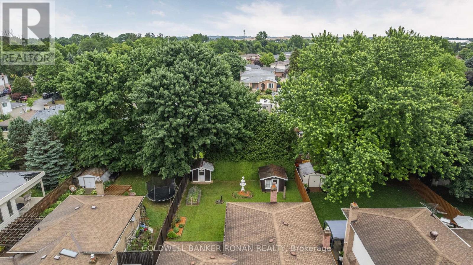 39 Mitchell Avenue, New Tecumseth, Ontario  L9R 1C9 - Photo 34 - N12843390