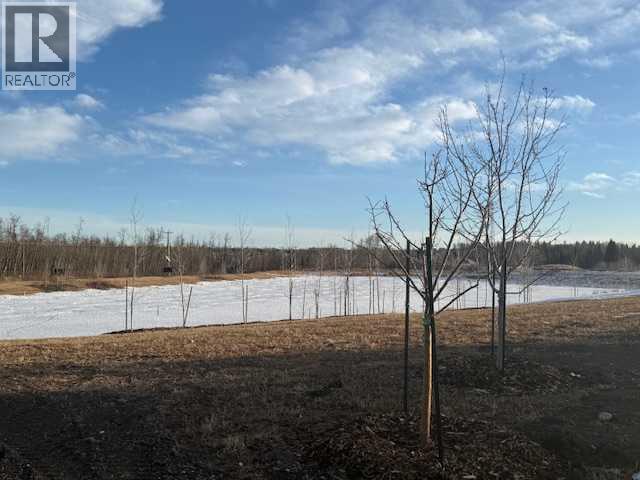 141 Gray Close, Sylvan Lake, Alberta  T4S 0W4 - Photo 21 - A2275833