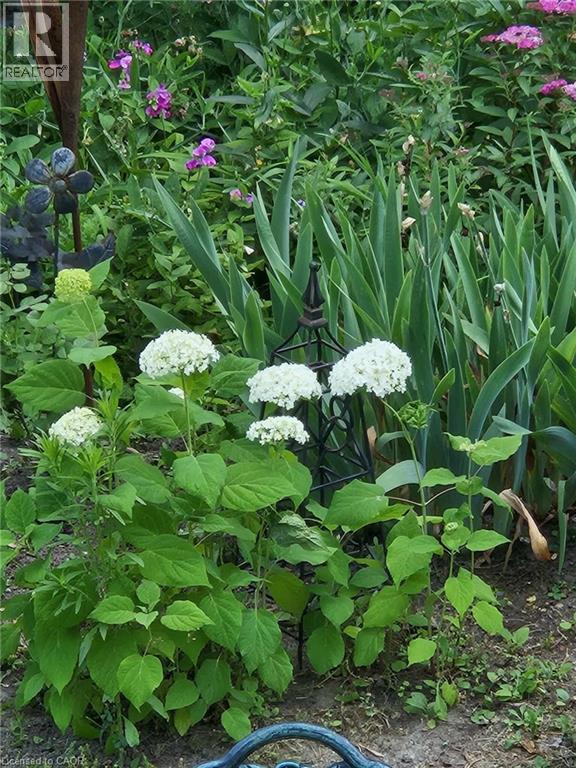 663 Heathcliffe Place, Waterloo, Ontario  N2T 2P3 - Photo 43 - 40809378