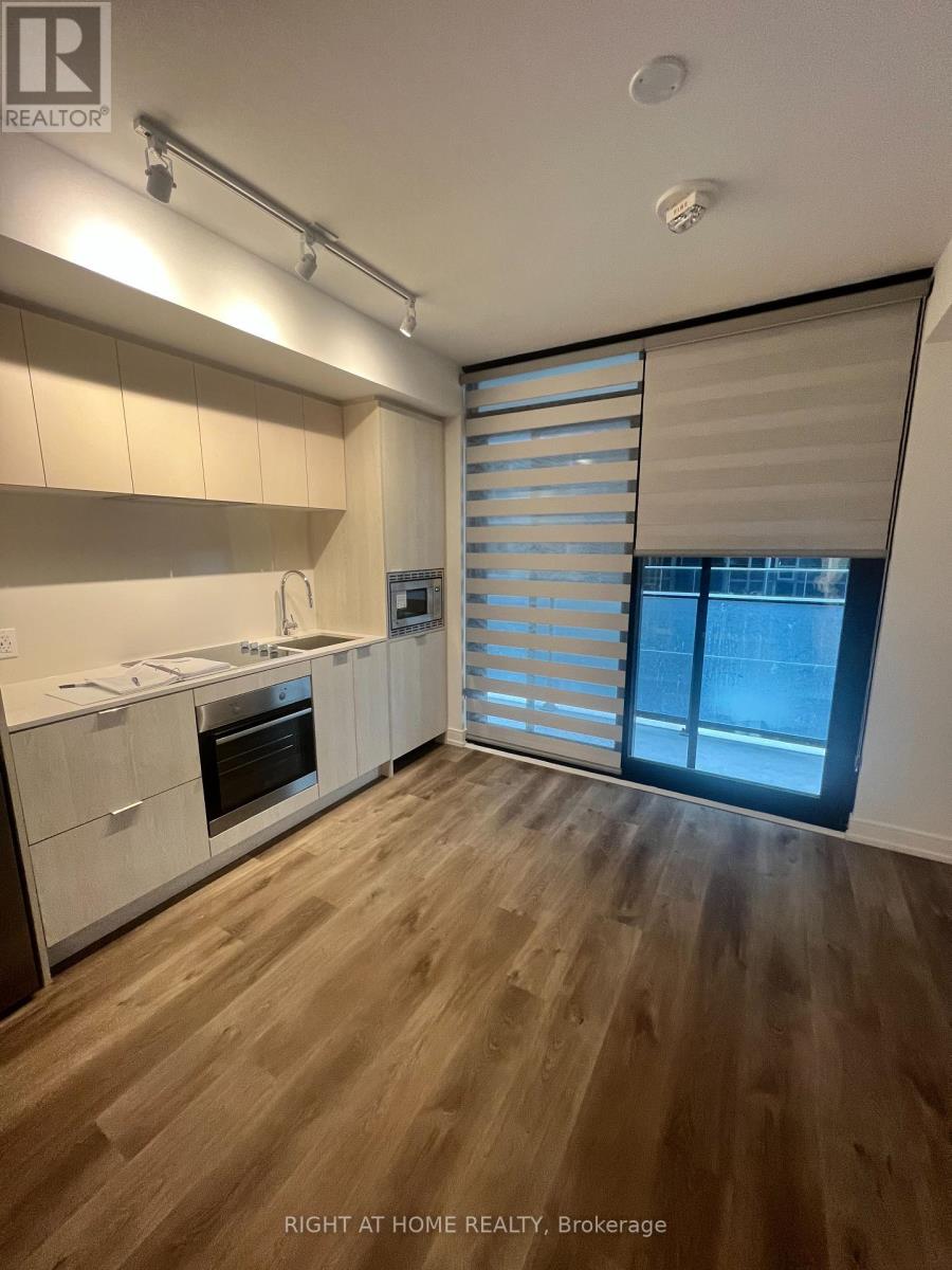 619 - 1 Jarvis Street, Hamilton, Ontario  L8R 1M2 - Photo 3 - X12843434