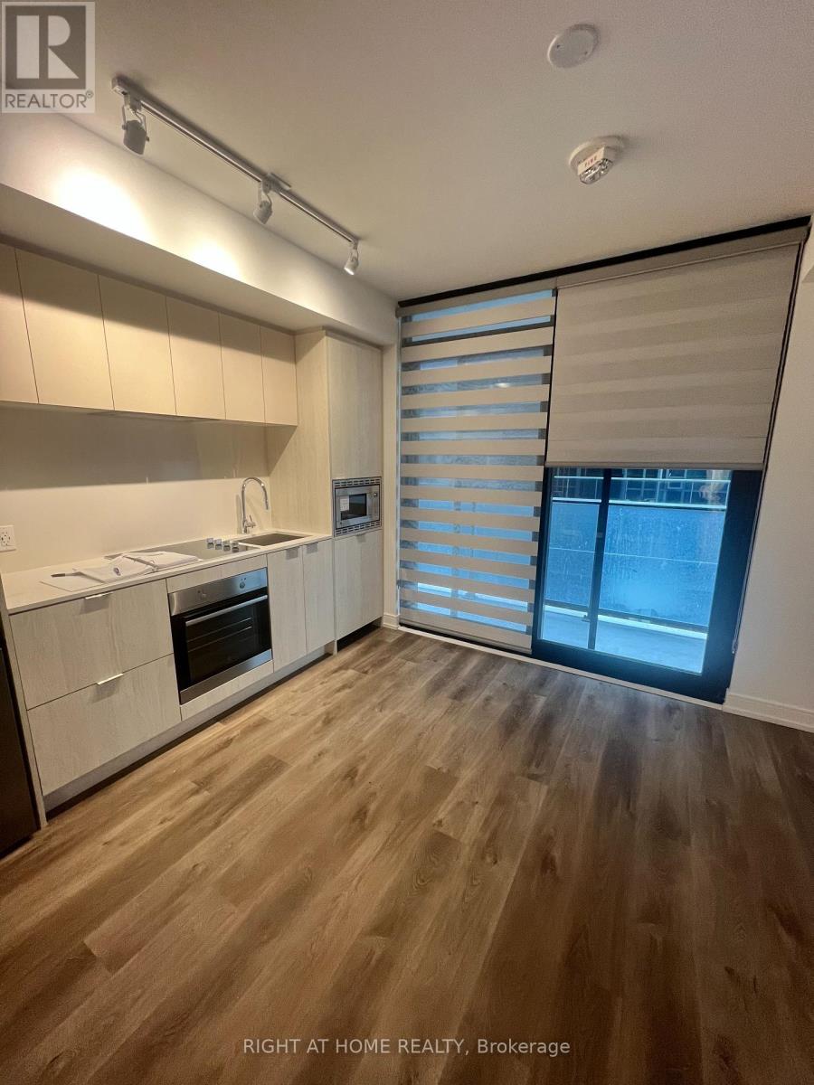 619 - 1 Jarvis Street, Hamilton, Ontario  L8R 1M2 - Photo 4 - X12843434