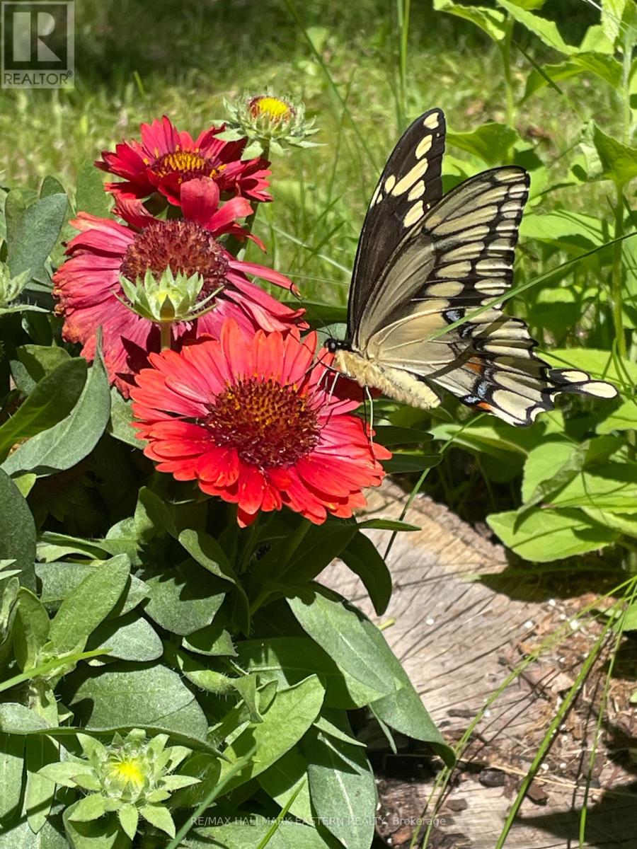 371-B Godolphin Road, Trent Hills, Ontario  K0K 3K0 - Photo 22 - X12843574