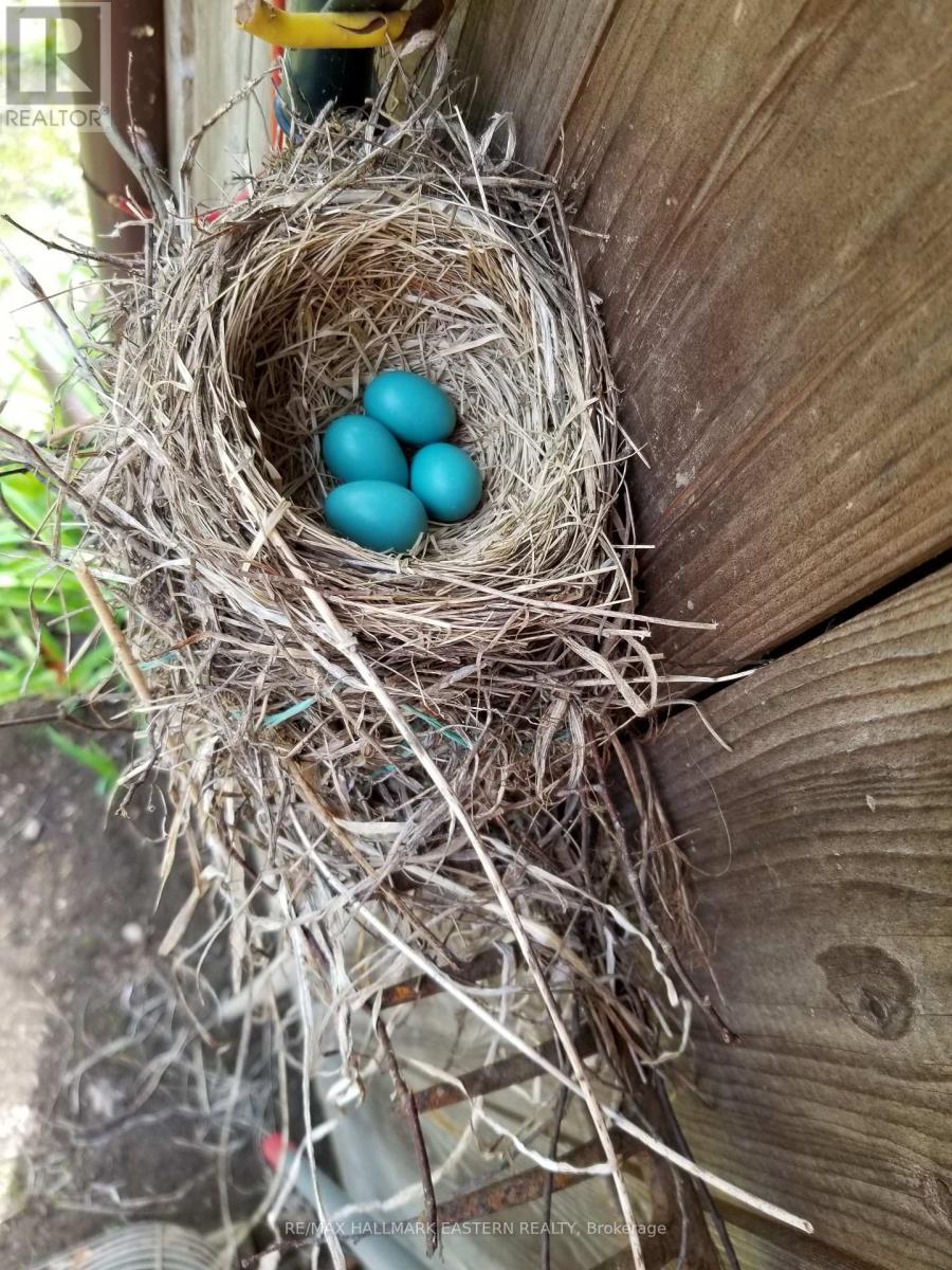 371-B Godolphin Road, Trent Hills, Ontario  K0K 3K0 - Photo 23 - X12843574