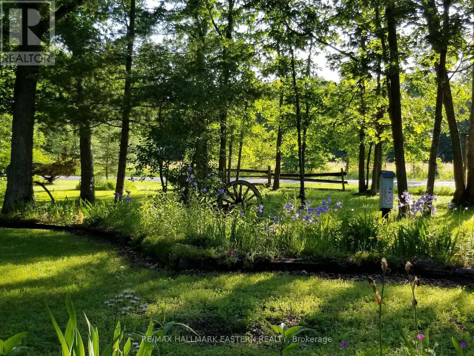 371-B Godolphin Road, Trent Hills, Ontario  K0K 3K0 - Photo 24 - X12843574