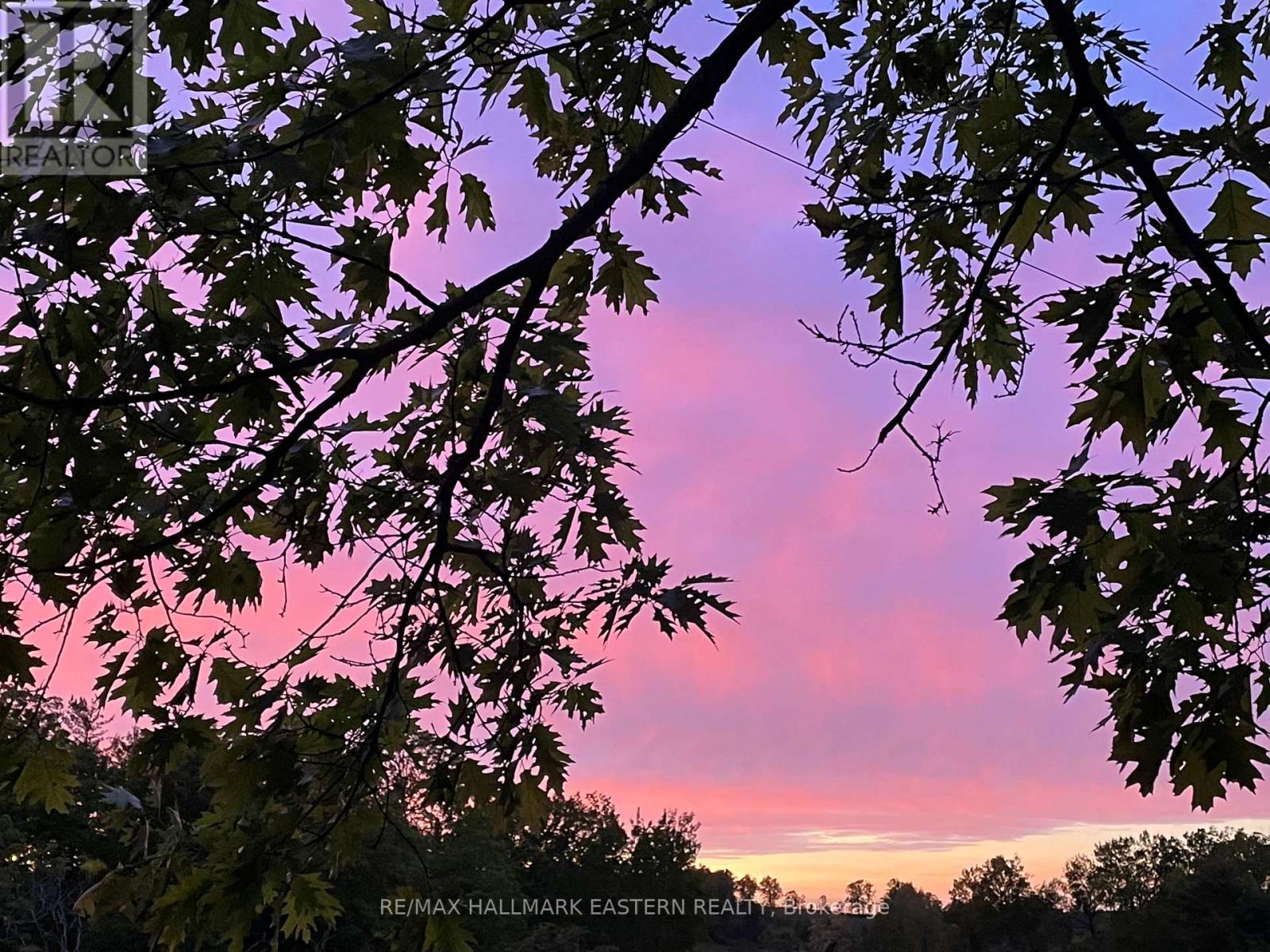 371-B Godolphin Road, Trent Hills, Ontario  K0K 3K0 - Photo 26 - X12843574